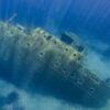 Il relitto della Elviscot: un reef artificiale
