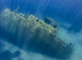 Il relitto della Elviscot: un reef artificiale