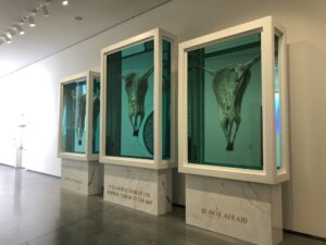 Hirst, Giulia Belfiori