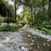 Il Parco Regionale Marturanum