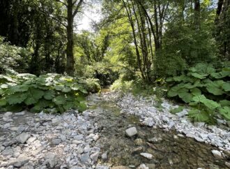 Il Parco Regionale Marturanum